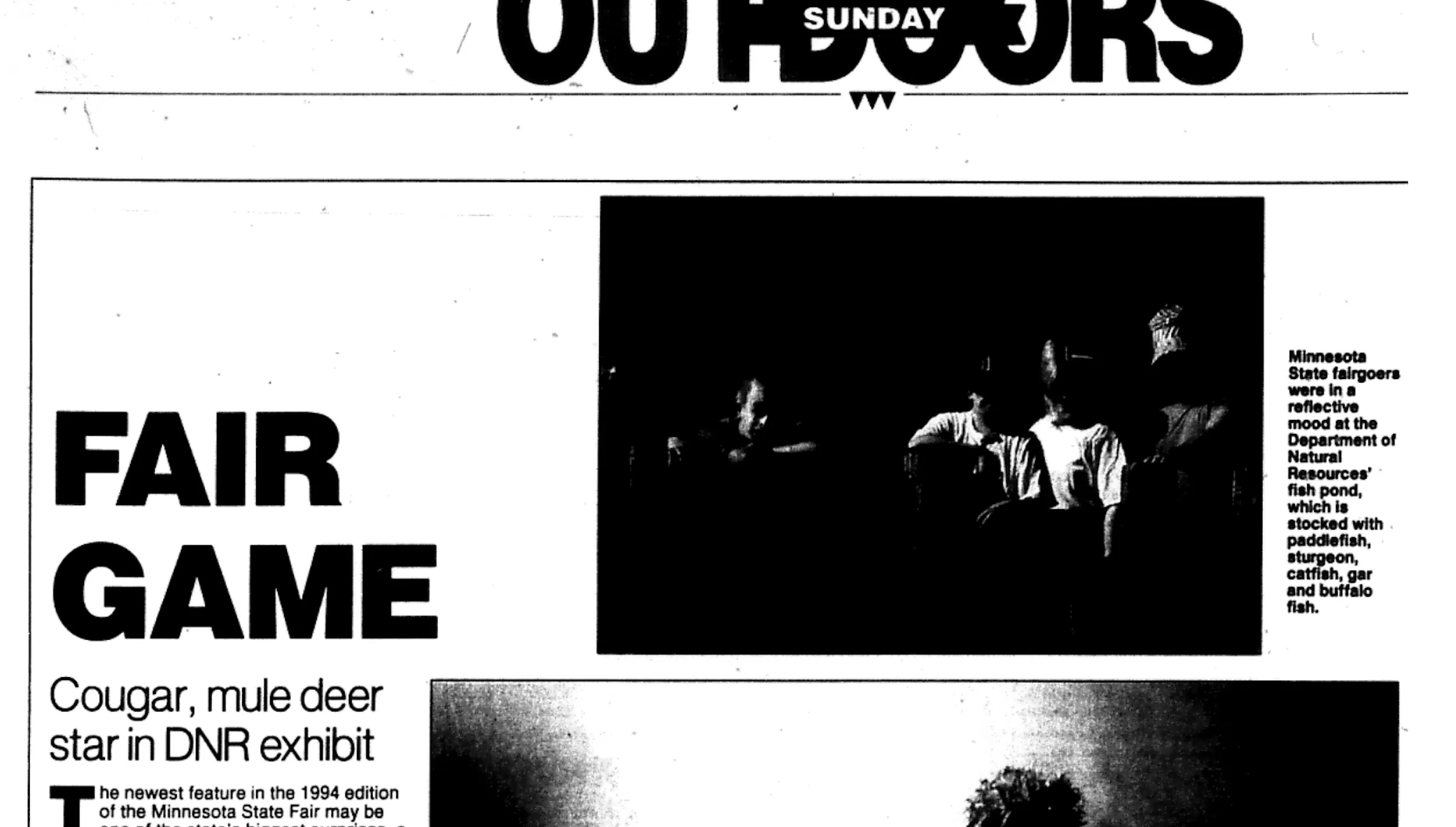 1994 DNR Feature